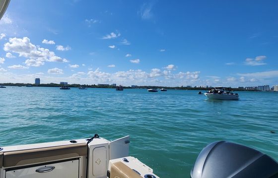 Sandbar Fun in South Florida