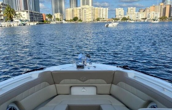 Sandbar Fun in South Florida