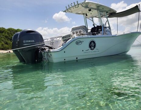 Sea fox 26' Best Ride to Icacos or Palomino -With USCG Certified Capt.