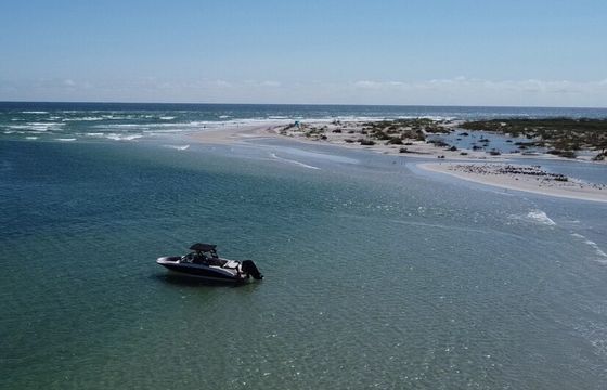 Sea Ray 21’ SPX Bow Rider. Enjoy the beach with no hassle!