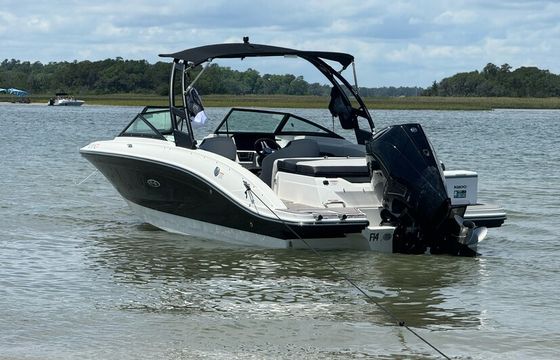 Sea Ray 21’ SPX Bow Rider. Enjoy the beach with no hassle!