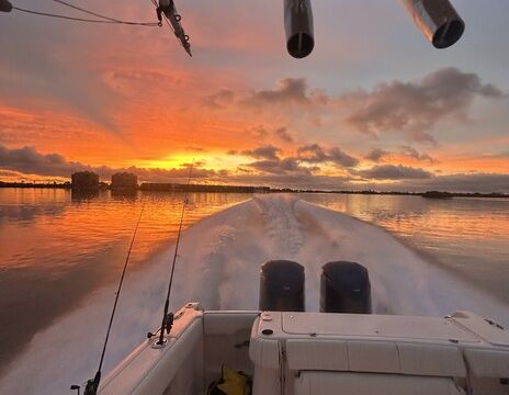 Salt an Sunset Charters Grady-White 306 |Dolphins, Shelling and Sunset