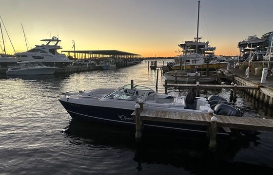 Private Crab Island Charter w/Snokeling and Dolphins