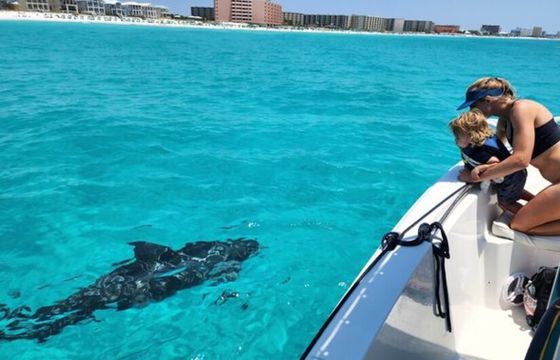 Private Crab Island Charter w/Snokeling and Dolphins