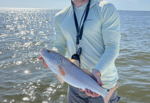 Inshore and Nearshore fishing on our 25' Tower Boat