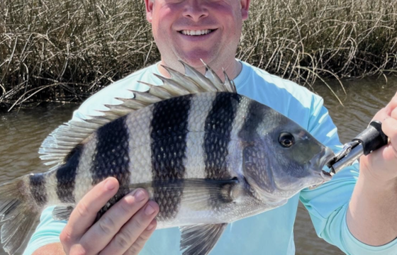 Inshore and Nearshore fishing on our 25' Tower Boat