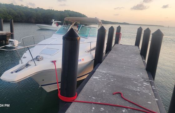 Miami Sandbar Escape — 36' Carver Yacht