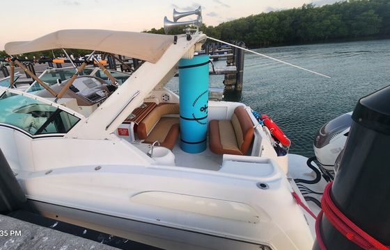 Miami Sandbar Escape — 36' Carver Yacht