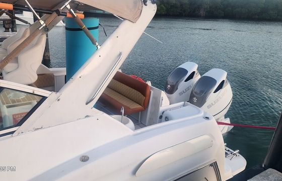 Miami Sandbar Escape — 36' Carver Yacht