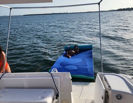 Miami Sandbar Escape — 36' Carver Yacht