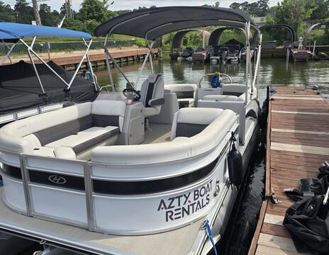 Harris Cruiser 230 Tritoon - Rye