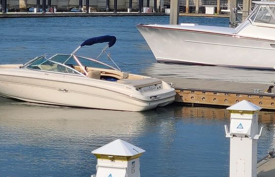 Sea Ray 190 Signature Bow Rider – Fast, Clean & Ready to Ride!
