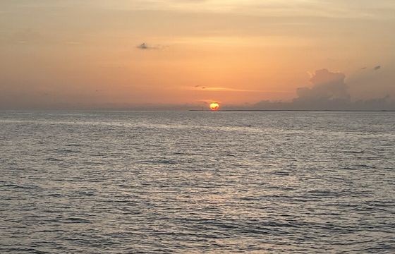 Luxury 51' Power Catamaran at Beautiful Key West Resort