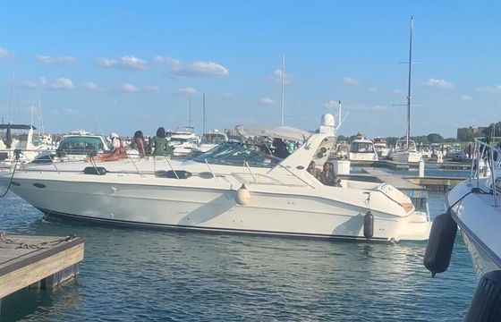 Chicago Skyline Luxe — 40-Foot Private Yacht