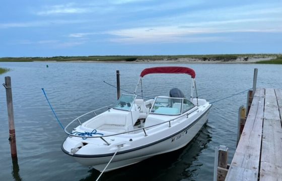 20' Dauntless Boston Whaler for up to 9 People!
