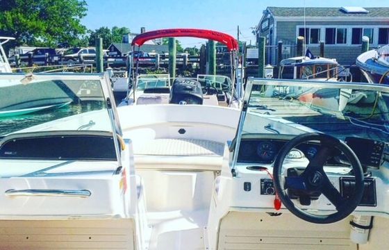 20' Dauntless Boston Whaler for up to 9 People!