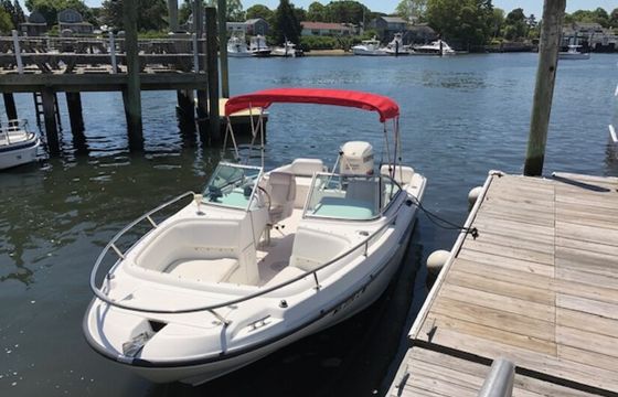 20' Dauntless Boston Whaler for up to 9 People!