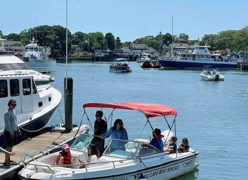 20' Dauntless Boston Whaler for up to 9 People!