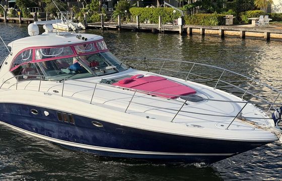 Sea Ray 46ft All-Pink Boating Experience – Miami, 13 Passengers