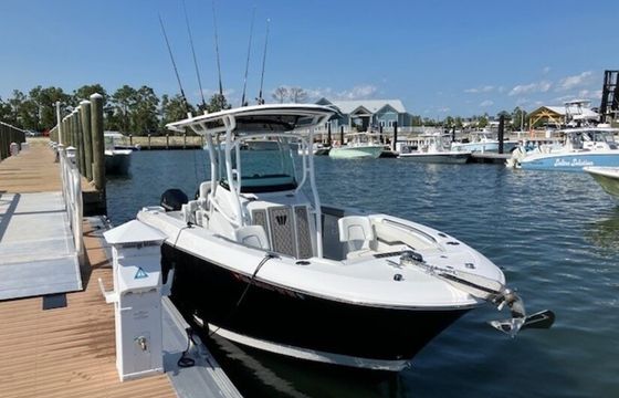 Departs Western Center of Lake Lanier, great CC for Cruising & Fishing