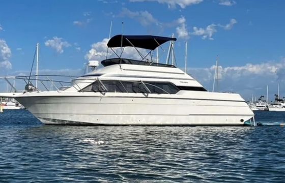 Relaxing Cruises on the Bay and Coast