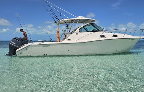 Island Girl — Elegant 34ft Pursuit