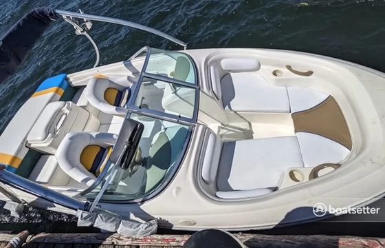 18ft Sea Ray – Lake Washington, Seattle