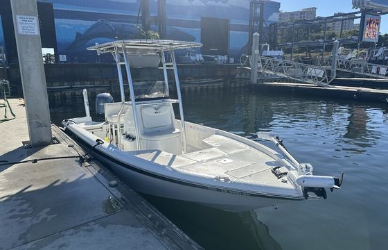 21' Sea Hunt