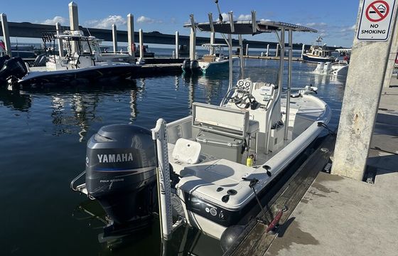21' Sea Hunt