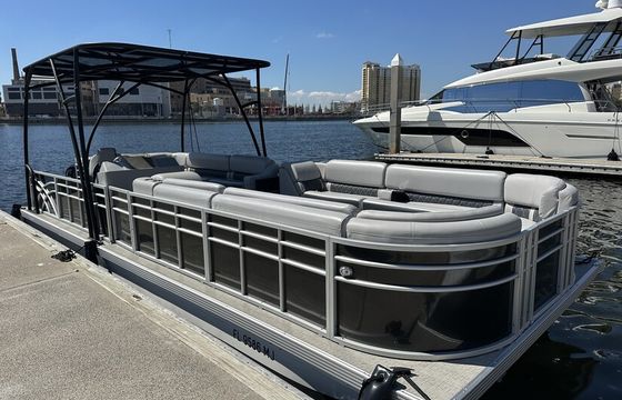 Luxury Pontoon Cruise in Downtown Tampa