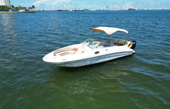 The Best Deal in the Market! Sea Ray Sundeck 26'