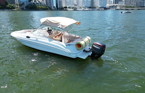 The Best Deal in the Market! Sea Ray Sundeck 26'