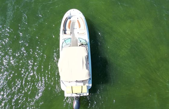 The Best Deal in the Market! Sea Ray Sundeck 26'