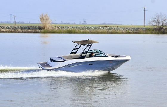 2023 SeaRay SPX 210 - Luxe - 12 Passengers - Cruising and Watersports