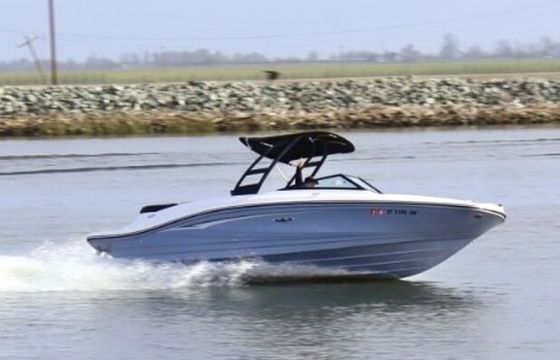 2023 SeaRay SPX 210 - Luxe - 12 Passengers - Cruising and Watersports
