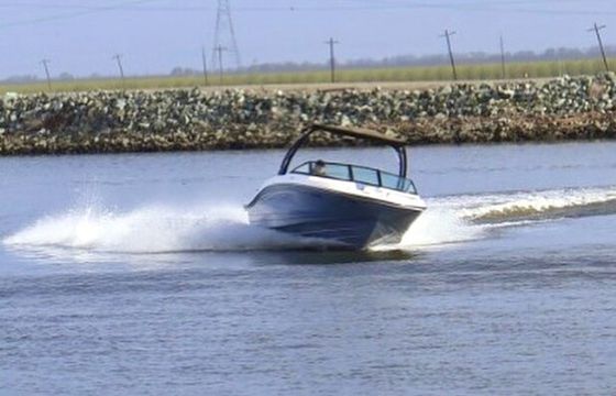 2023 SeaRay SPX 210 - Luxe - 12 Passengers - Cruising and Watersports
