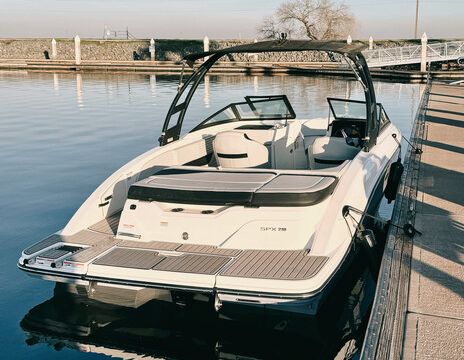 2023 SeaRay SPX 210 - Luxe - 12 Passengers - Cruising and Watersports