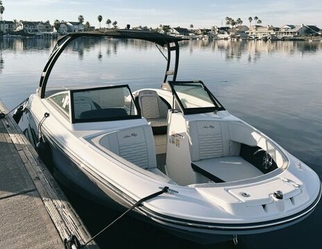 2023 SeaRay SPX 210 - Luxe - 12 Passengers - Cruising and Watersports