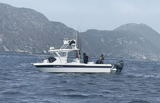San Diego Sport Fishing Charter - 25 Davis Pilothouse