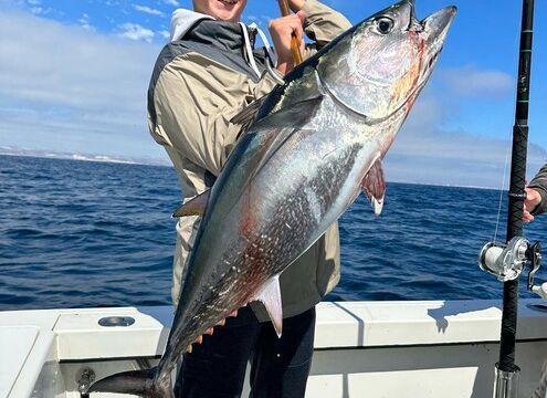 San Diego Sport Fishing Charter - 25 Davis Pilothouse