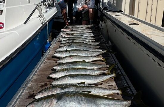 San Diego Sport Fishing Charter - 25 Davis Pilothouse