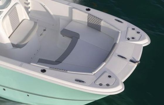 Captained 25' Boat Charters and Adventures | Sandbar | Fishing | Party