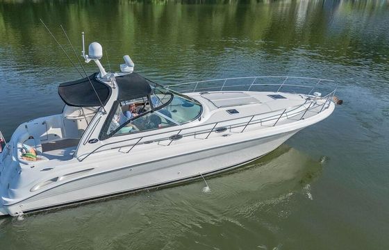 45' SeaRay Dream Yacht Charter / Boat Rental