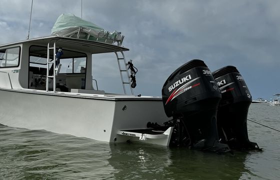 CABIN CRUISER / FISHING BOAT