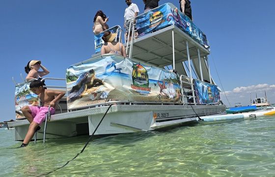Three Slides Double Decker, Lily Pad, Paddleboard-more