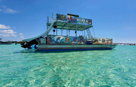 Three Slides Double Decker, Lily Pad, Paddleboard-more