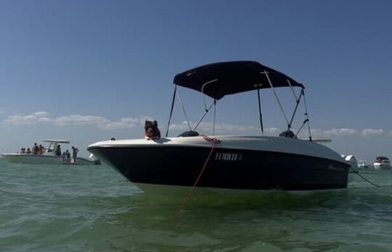 Miami Boat Rental/Haulover Sandbar/Bay Cruise on 16' Bayliner Element