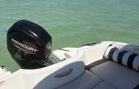 Miami Boat Rental/Haulover Sandbar/Bay Cruise on 16' Bayliner Element