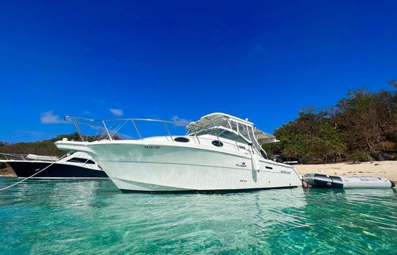 Wellcraft yacht 30 - local cruise to the islands