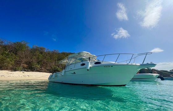 Wellcraft yacht 30 - local cruise to the islands